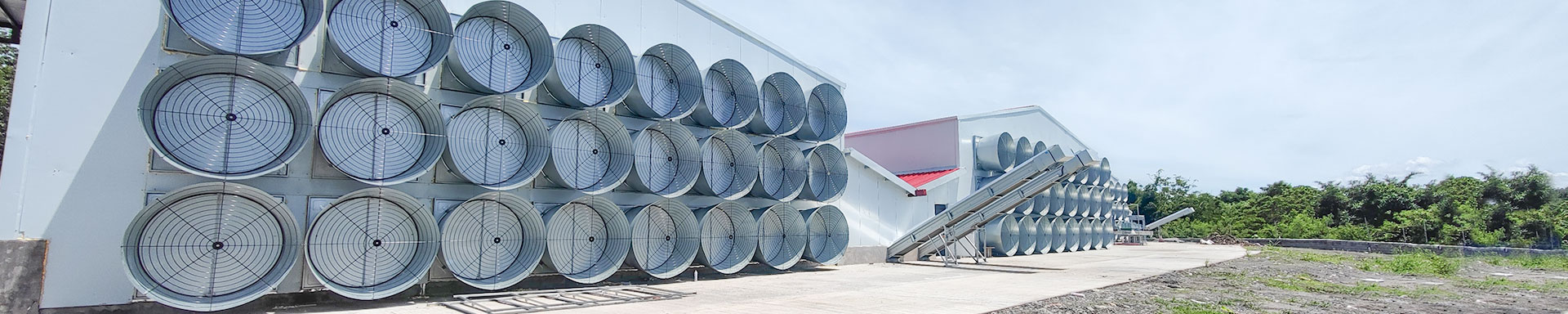 Chicken houses climate control systems