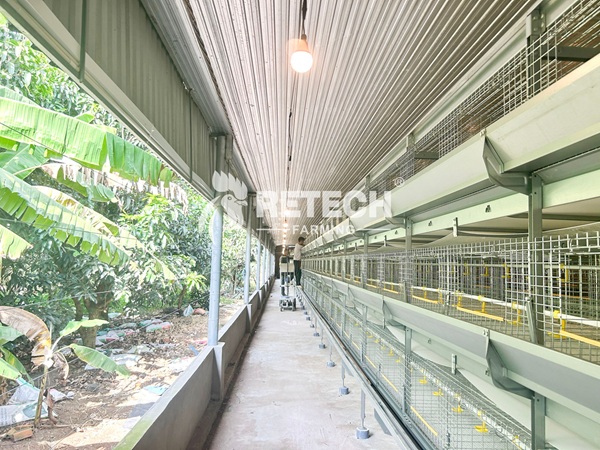 Retech 60,000 pullet project (2)
