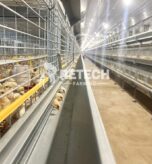 Vietnam 60,000-Chick Farm Farming Solution