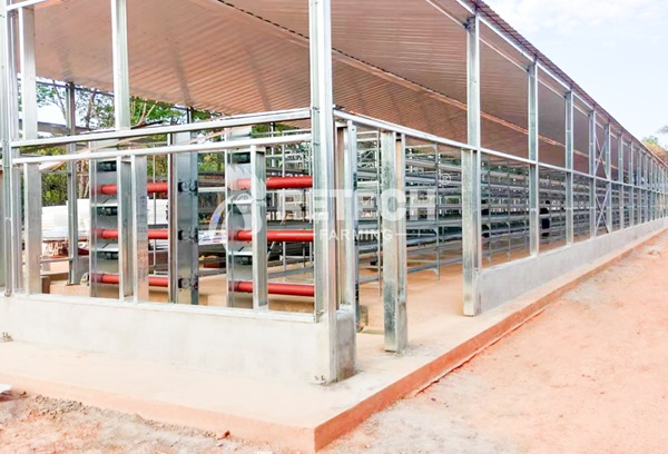 Retech Mauritius 56000 broiler project (1)