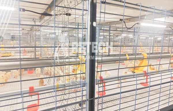 Retech Mauritius 56000 broiler project (9)