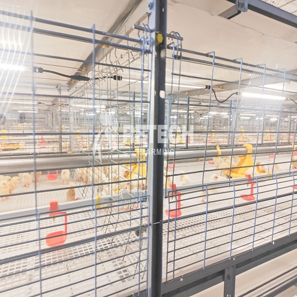 Retech Mauritius 56000 broiler project (9)