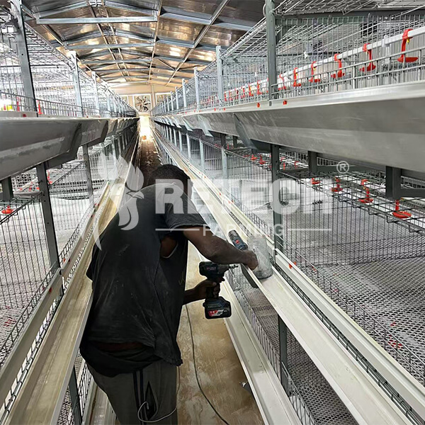 Retech-UAE-broiler-farm-heads