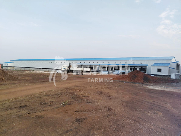 Steel structure chicken coop