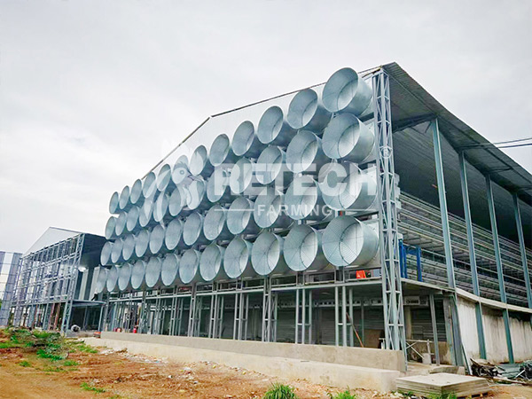 Ventilation solutions for layer chicken farms in Vietnam