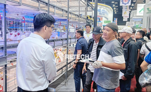 automatic broiler cage