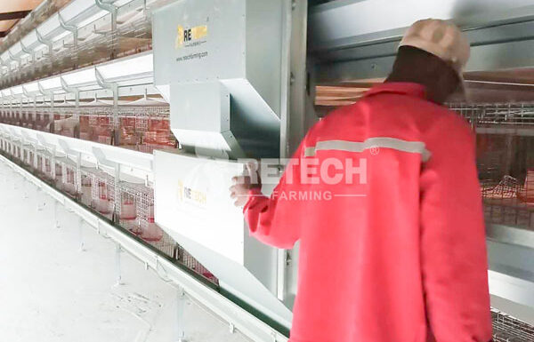 automatic poultry cage farm in Guinea