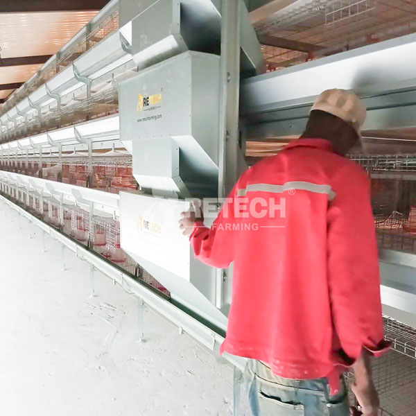 automatic poultry cage farm in Guinea