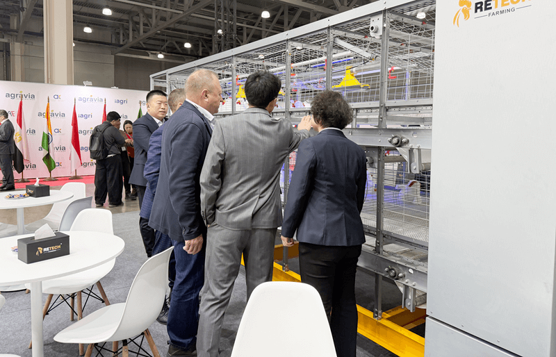 chicken farming solutions provider