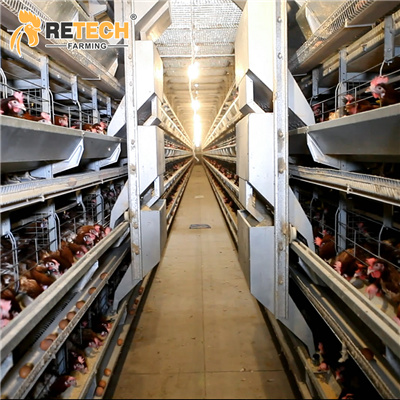 automatic feeding system
