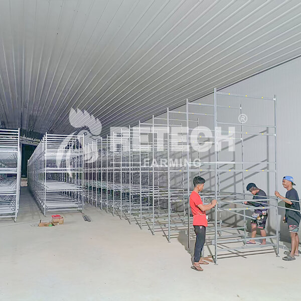 broiler farm in the Philippines