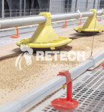 broiler farming cage for sale