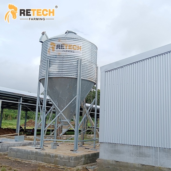 broiler feeding management