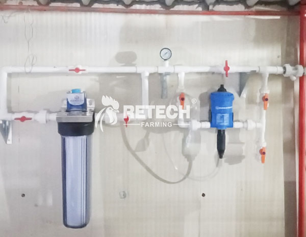 chicken-feeding-system-1