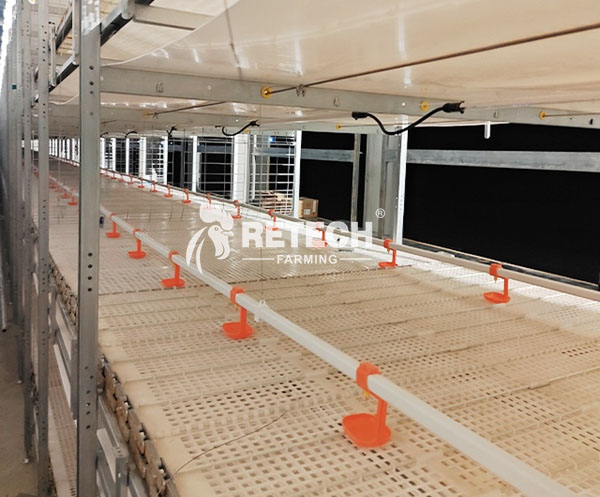 chicken-feeding-system-2