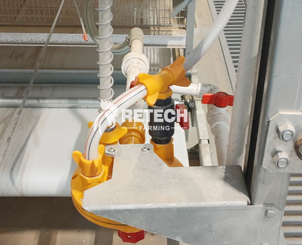 chicken-feeding-system-3