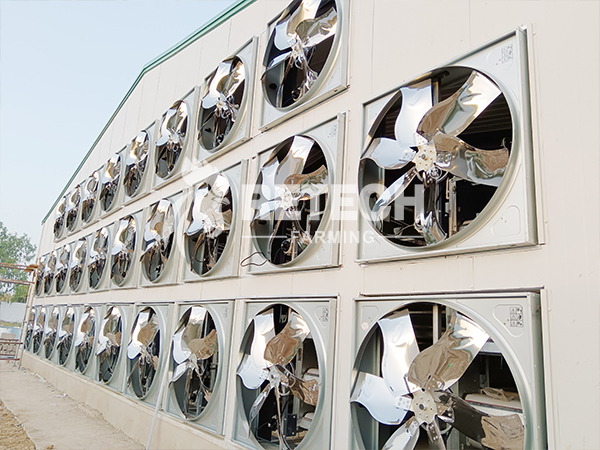 chicken house environment control system