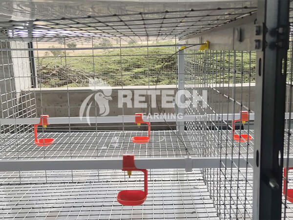 poultry farm automatic drinker