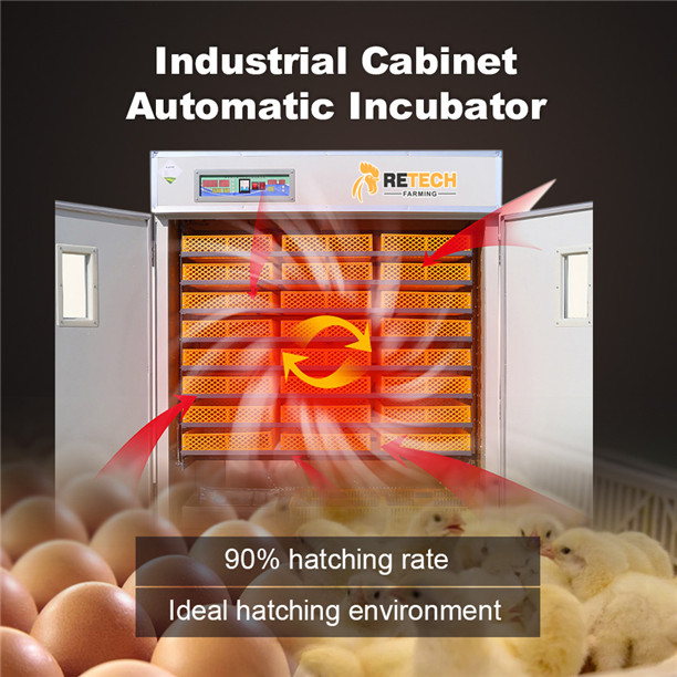 egg incubator