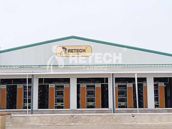 layer poultry farm in Nigeria