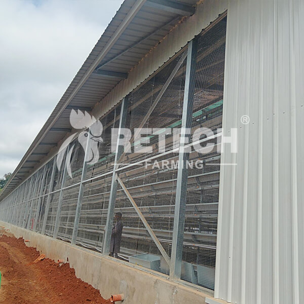 laying hens building