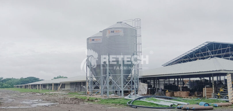 How to convert laying hen house into a broiler house