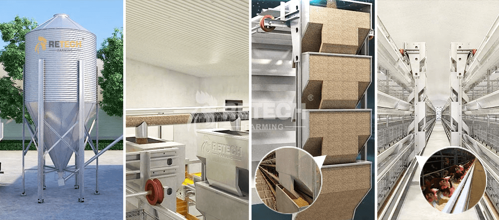 modern battery chicken cage