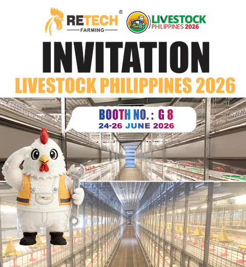 modern-broiler-cage-farming-solutions