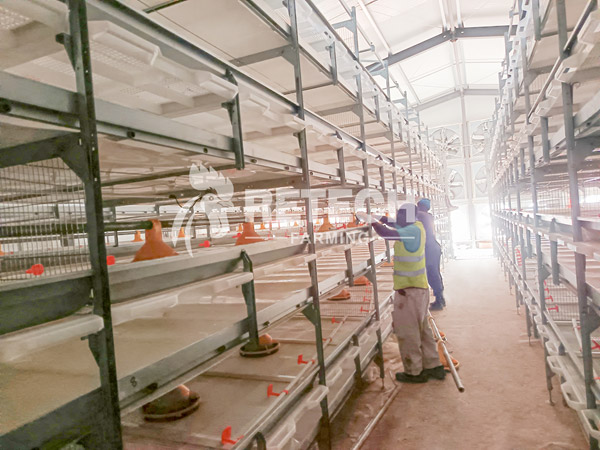 breeding farm