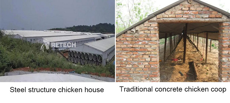steel chicken house vs traditional concrete chicken coop