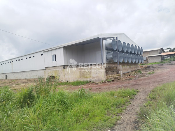 steel structure chicken farming house